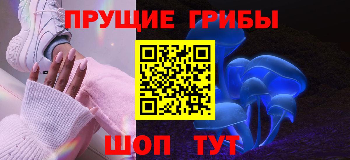 Псилоцибиновые грибы Psilocybe  Псилоцибиновые грибы мухоморы  Котовск  Вход с VPN 